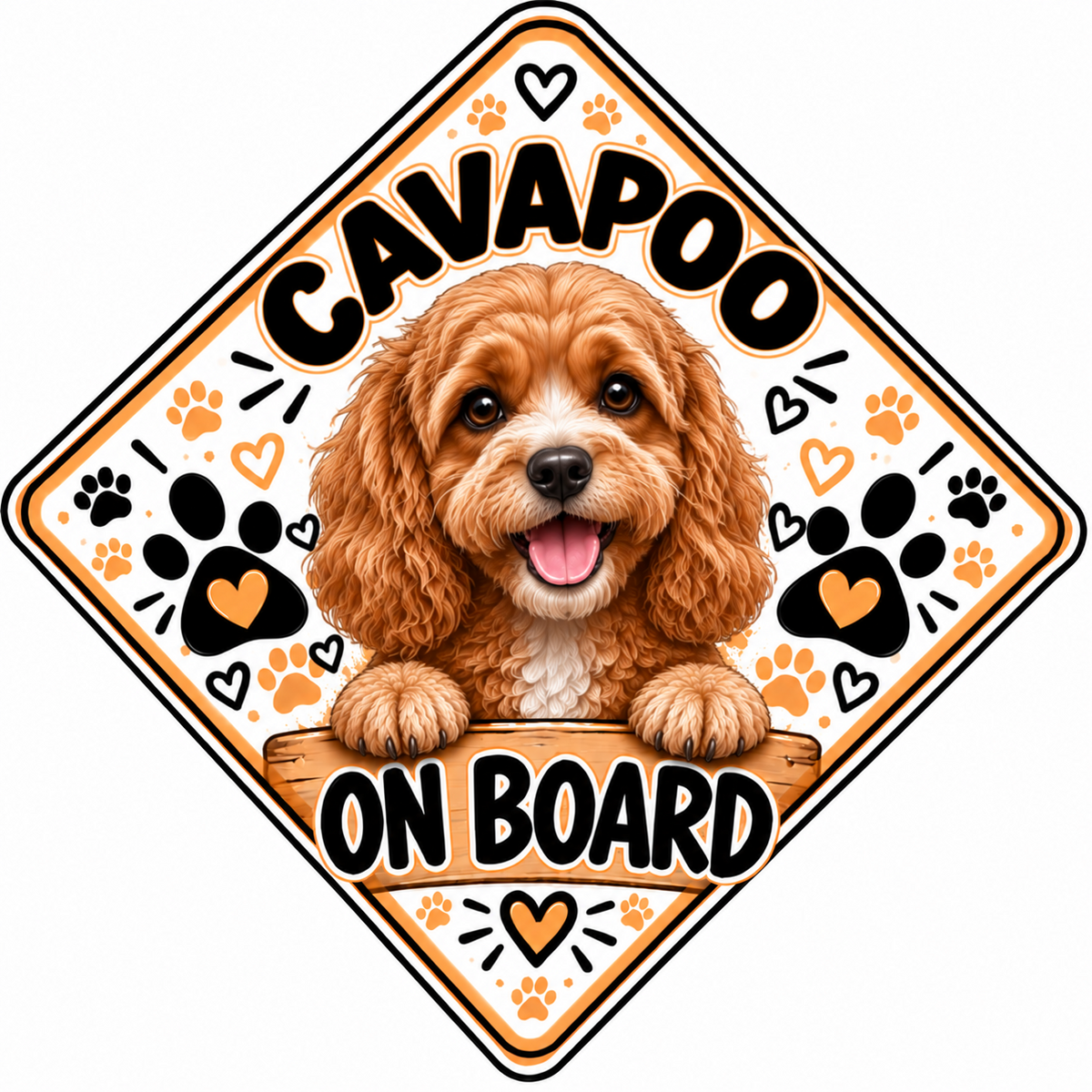 Cavapoo On Board